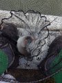 IMG_20190928_100418
