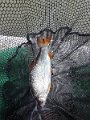 IMG_20190928_101141