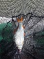 IMG_20190928_101142_1