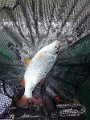 IMG_20190928_101849