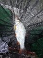 IMG_20190928_105553