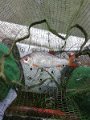 IMG_20190928_112215