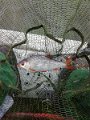 IMG_20190928_112219_BURST002