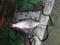 IMG_20190928_114703