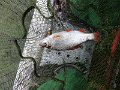 IMG_20190928_114705
