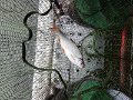 IMG_20190928_141739