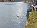 IMG_20200118_133256